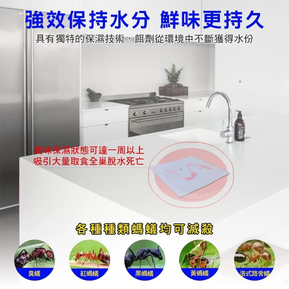 【優品X柴語錄】蟻絕劑除蟻膏80g商品介紹-1-3