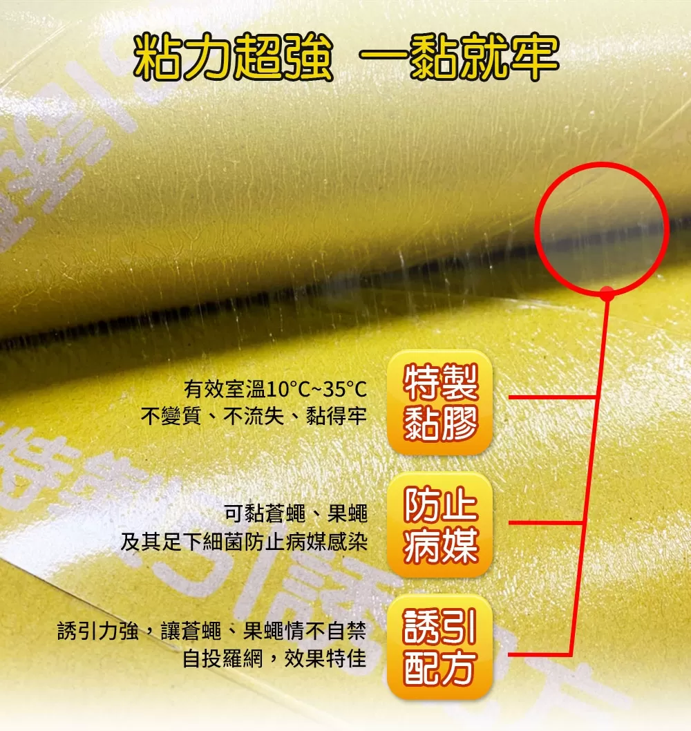 優品粘狐神-超黏補蠅紙(5片裝)商品介紹-1-2