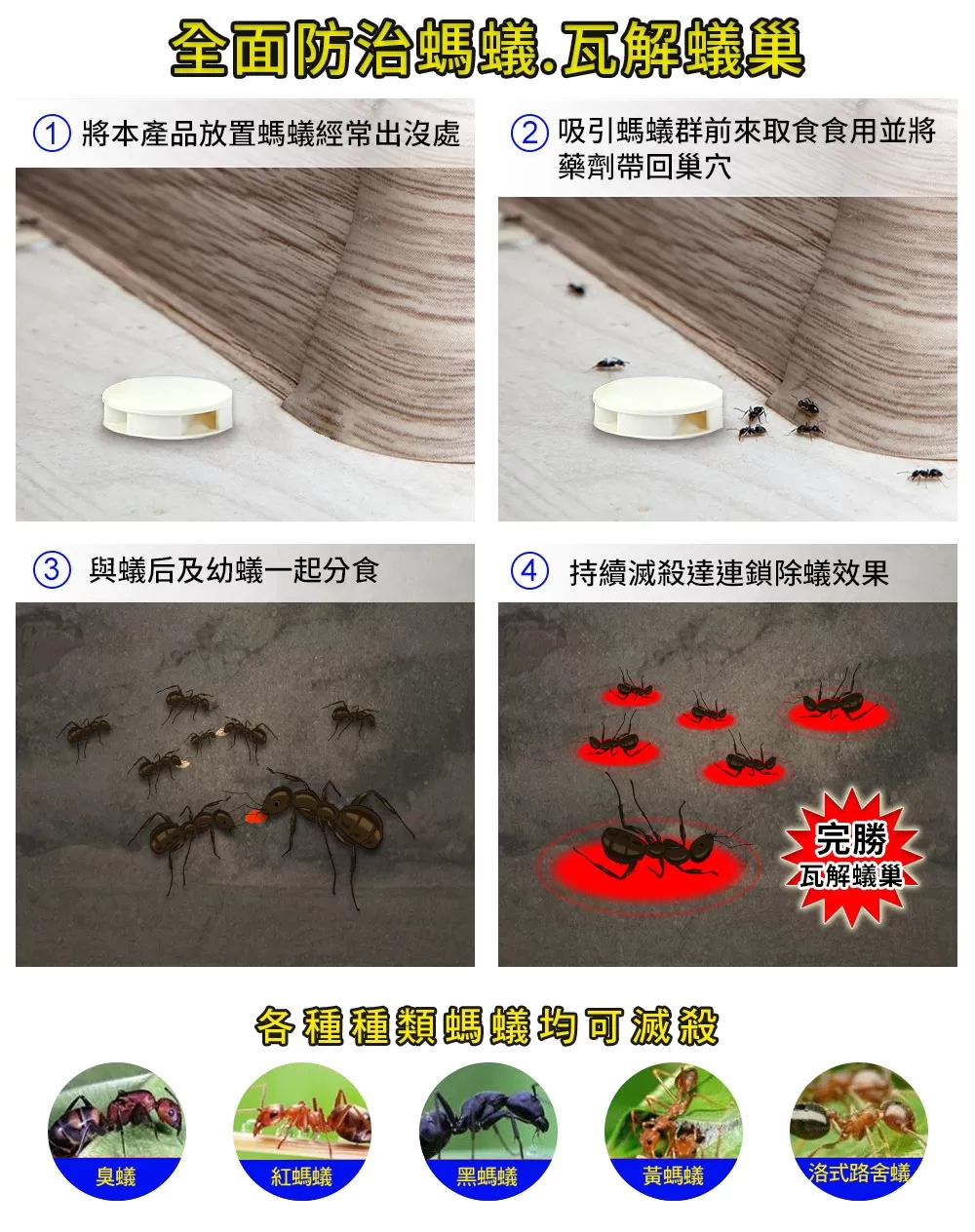 【優品X柴語錄】蟻巢淨除蟻錠(4入裝)商品介紹-1-1