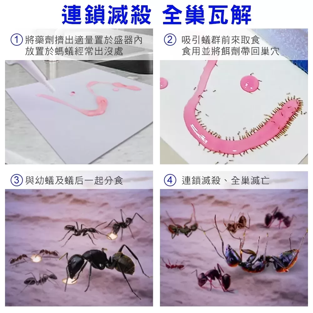 【螞蟻斷絕組】商品介紹-2-3