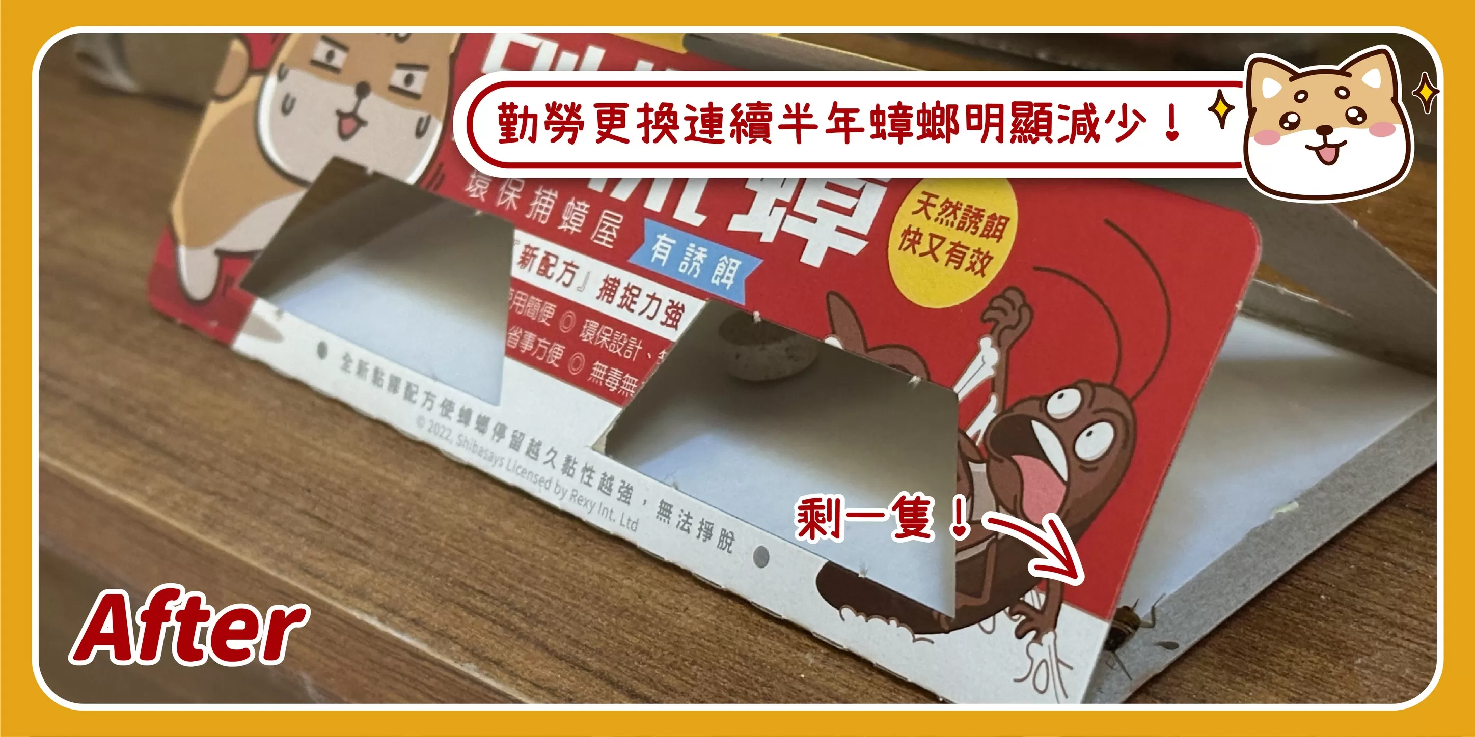 【團購免運】別慌蟑(480片)商品介紹-4-2