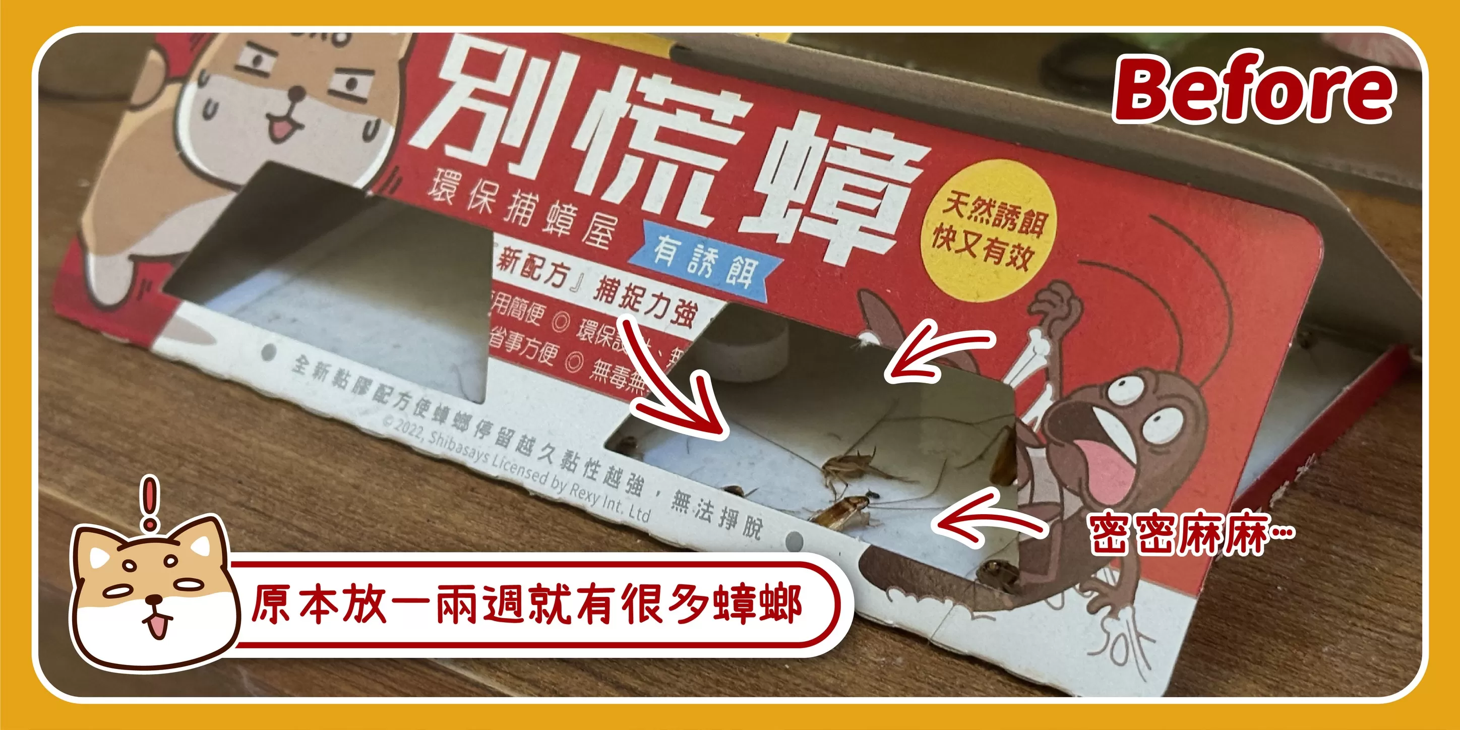 【團購免運】別慌蟑(480片)商品介紹-4-1