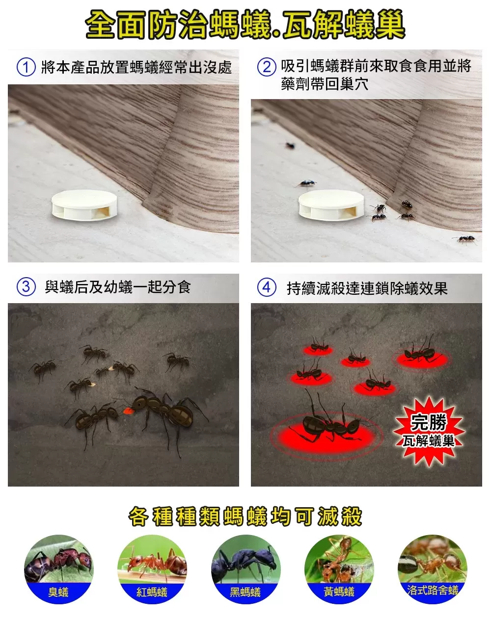 【買六送六】優品蟻巢淨除蟻錠(4入裝)商品介紹-2-1