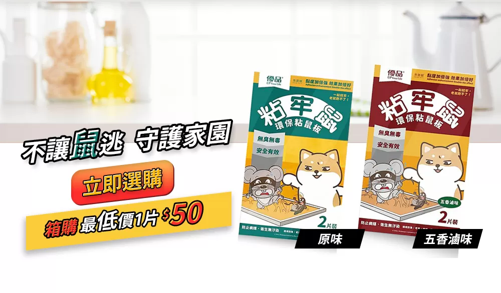 【團購免運組】優品粘牢鼠-環保粘鼠板(大)-2片裝商品介紹-1-7