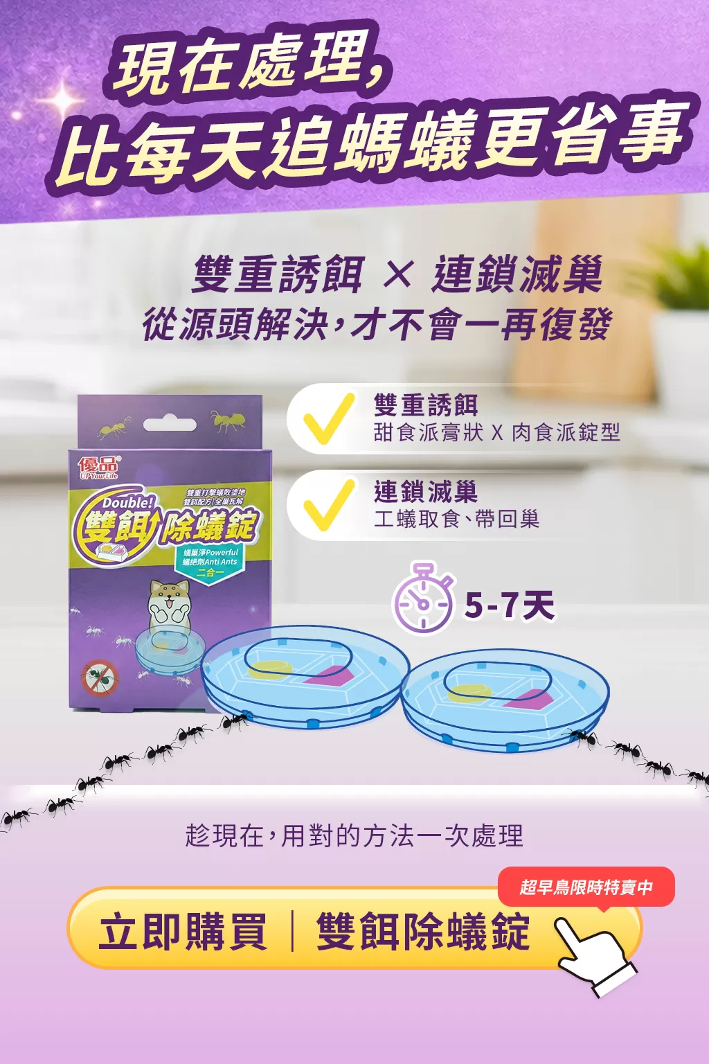 New新品上市【優品x柴語錄】雙餌除蟻錠(2入裝) 限量聯名款商品介紹-2-1