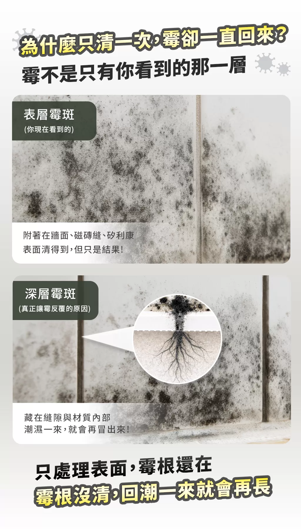 【限時特賣】優品-深層瓦解 除霉雙效組商品介紹-1-2